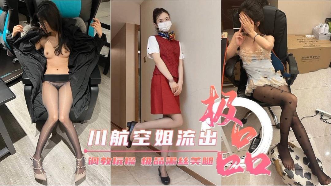 极品川航空姐流出，调教玩操，极品黑丝美腿